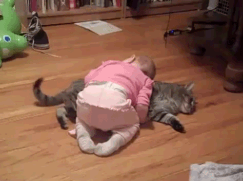 kitty